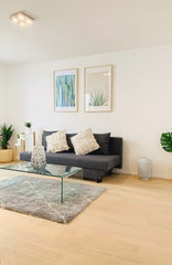 Appartement dans le quartier de Saint-Gilles typiquement Bruxellois rénové de 50  🌟🌿Home sweet home in trendy St-Gilles 🌵🌟 Entire rental unit vacation rental 43696336