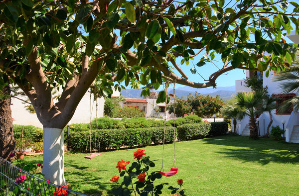 Milatos is a small and peaceful place for those who like quiet holidays. In our   Antigoni Apartments No1 Entire rental unit vacation rental 622930044915401066