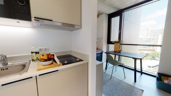 Dieses schöne Studio ist möbiliert und mit einer modernen Küchenzeile ausgestatt  Möbliertes Studio in Wien - Silver Plus (disabled room) Entire rental unit vacation rental 547460545753425530