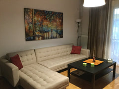 <b>The space</b><br />We offer you a comfortable space that will make you feel l Athens, Attica, Greece Cozy appartment Entire rental unit vacation rental 18190138