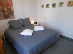 Dans un appartement spacieux, je mets à votre disposition une Chambre avec un vr Lyon, France Chambre agréable Private room in condo vacation rental 9408329