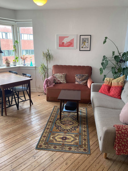 Charming apartment located in the trendy Nørrebro (Copenhagen N).<br /><br /><b> Copenhagen, Denmark Charming apartment in trendy Nørrebro Entire condo vacation rental 17690373