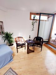 Die sonnendurchflutete 85m2 elegante, französisch-romantische Maisonette ist der Vienna, Austria Sternenhimmel in Dachmaisonette mit Terrasse Entire rental unit vacation rental 573173801620258043