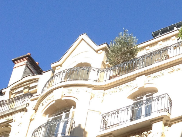 On the top floor of a beautiful old building (with lift), an elegant 74m2 duplex Paris, France Elegant flat near Luxembourg Garden Entire rental unit vacation rental 15543080