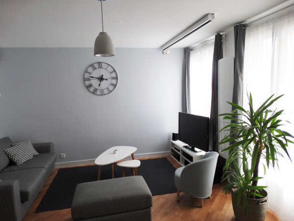 Nice T2 flat renovated in 2016 and decorated with taste. In a good location next Lyon, France Scandinavian Cosy Flat Entire rental unit vacation rental 12351154