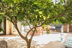 Chania Luxury Garden Apt2 is located at a historical spot of the old aristocrati Chania, Greece chanialiving  Chania Luxury Garden Apt2-50m YARD Entire rental unit vacation rental 33582121