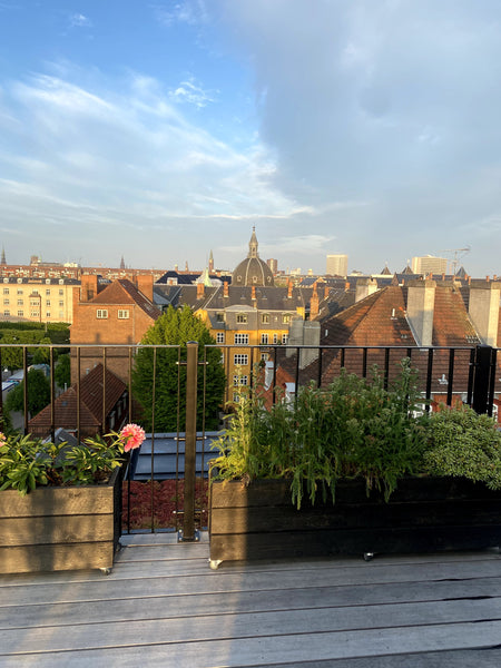 Attention: <br />Until end of july there is not access to the living room becaus Copenhagen, Denmark Charming apartment in a quiet area Entire rental unit vacation rental 936678