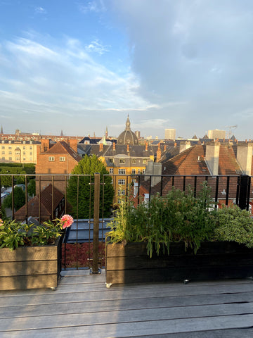 Attention: <br />Until end of july there is not access to the living room becaus Copenhagen, Denmark Charming apartment in a quiet area Entire rental unit vacation rental 936678