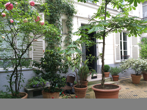 Appartement très calme sur 2 étages qui donne sur une cour arborée. Au rez de ch Paris, France Comme une maison Entire rental unit vacation rental 15492245