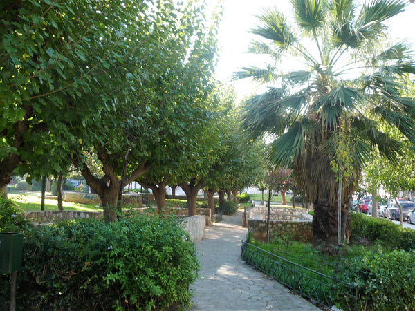 The house is quite comfortable has two separate bedrooms with two double beds. A Athens, Attica, Greece House by the center Entire rental unit vacation rental 18730660