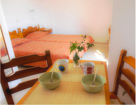 <b>The space</b><br />Labyrinth Studios is a family run self-catering establishm Foinikas, Greece Labyrinth Studios for relaxation Private room in bed and breakfast vacation rental 895529