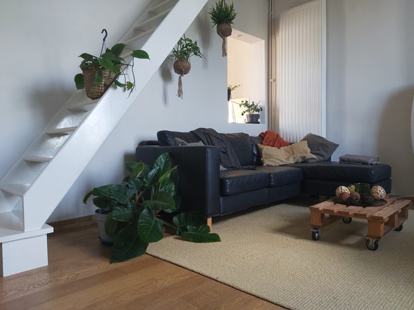 Belgium Cycling retreat well connected to Gent city center Private room in townhouse vacation rental 50128540