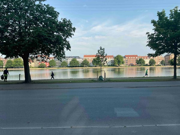 Apartment located with view directly to the lakes. Short walk from Torvehallerne  150 m2 New Yorker apt central CPH great view Entire rental unit vacation rental 39603972