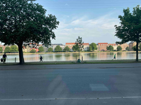 Apartment located with view directly to the lakes. Short walk from Torvehallerne  150 m2 New Yorker apt central CPH great view Entire rental unit vacation rental 39603972