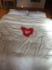 Chambre agréable, dans un appartement situé dans le quartier de la Croix Rousse  Craponne, France Chambre pleine de charme Lyon Croix Rousse Private room in rental unit vacation rental 23212396