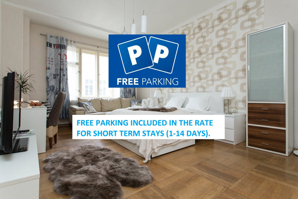 Beautiful, modern, air-conditioned apartment near the National Theater, located  Dubai, United Arab Emirates Old Town AC apart in heart of Prague FREE PARKING Entire rental unit vacation rental 5313244