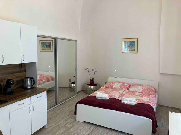 A beautiful studio right in the historical center of Prague. The studio is situa Prague, Czechia Studio in gothic house, 50m to the Old Town Square Entire condo vacation rental 54237916