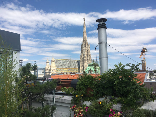 At the very heart of city, a 5 min walk to the Opera, Winter Palace, Spanish Rid Vienna, Austria Roof Top Retreat in City Center Private room in rental unit vacation rental 19920759