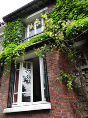 Spacious unique 3 bed, 2 bath villa located in peaceful Mouzaia quarter. Private Paris, France Lovely, Bright Parisian Villa Entire home vacation rental 3470626