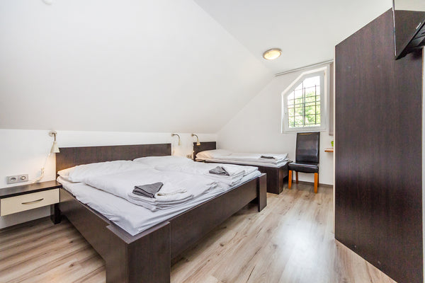 Modern triple room, on the 1st floor in a small hotel. The room has a satellite  Prague, Czechia Hotel & Restaurant -  triple room - Prague Room in hotel vacation rental 22566509