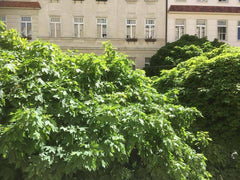 Very nice and cosy flat, for simple living. It is located in 10th bezirk in Wien Vienna, Austria Simple and cosy vegetarian room in shared flat Private room in rental unit vacation rental 19820799