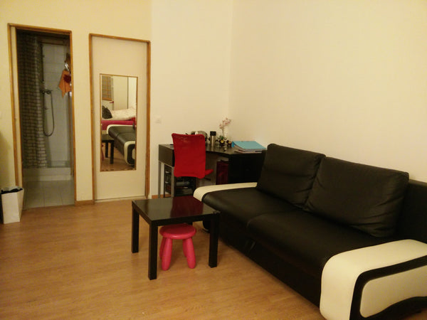 Charmant studio à proximité de la Bibliothèque François Mitterand, quartier sécu  Charmant studio à  Bibliothèque François Mitterand Entire rental unit vacation rental 19515379