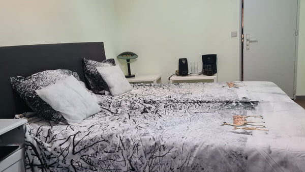 Antwerp, Belgium Lovely apartment Klara Tropicana Private room in casa particular vacation rental 566473928395141823