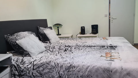  Antwerp, Belgium Lovely apartment Klara Tropicana Private room in casa particular vacation rental 566473928395141823