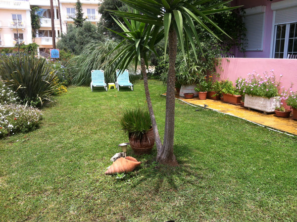 A cosy  apartment complex “LIVADI apartments in a peacful area of Plakias<br />< Rethimnon, Greece Livadi apartments Entire rental unit vacation rental 5619041