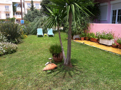 A cosy  apartment complex “LIVADI apartments in a peacful area of Plakias<br />< Rethimnon, Greece Livadi apartments Entire rental unit vacation rental 5619041