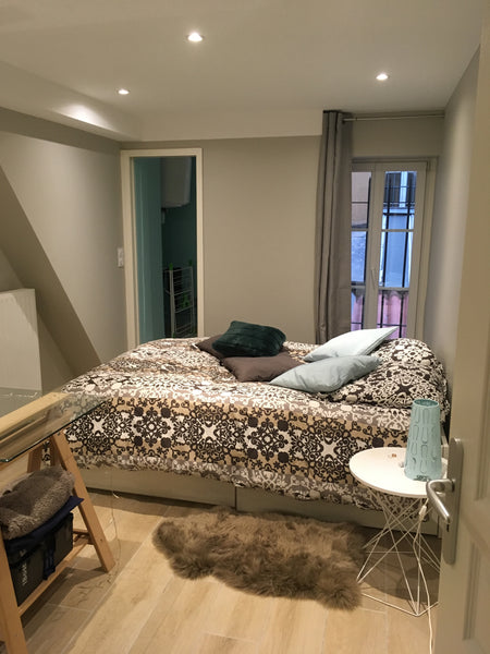 Grand T3 de 80m2, à deux pas de la place des Terreaux. Quartier très vivant et c Lyon, France Chaleureux appartement au cœur du 1er arrondissemt Entire rental unit vacation rental 22008692