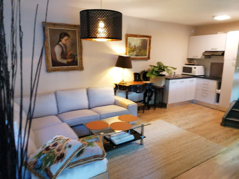 Beautiful light duplex apartment with 1 bedroom in the center of Antwerp. Everyt Antwerp, Belgium Center Duplex apartment with a bedroom & aquarium Entire rental unit vacation rental 39935151