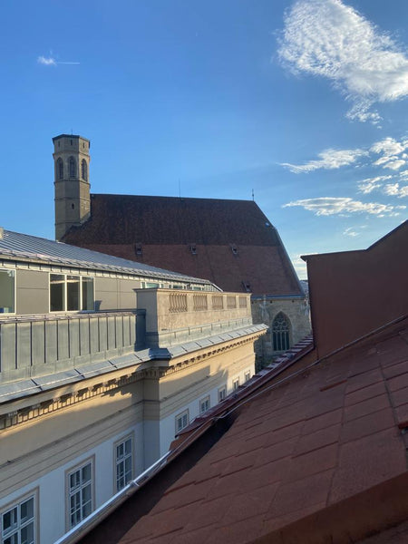 The apartment is located in the heart of Viennas 1 district which give you the c  Best Located Room in Vienna Private room in rental unit vacation rental 696998473241096663