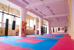 A special type of accommodation that will allow you the maximum group experience Prague, Czechia Gym for martial arts and sleepovers Entire rental unit vacation rental 1379714