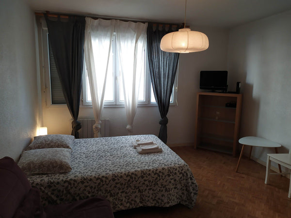 Studio  confortable et idéalement situé au cœur du quartier de la Part-dieu disp Lyon, France Studio Part-dieu rue Saint Eusébe Entire rental unit vacation rental 24481691