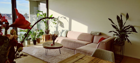 A perfect hide-away very close to the city center with an impressive view on the Flanders, Belgium Luxueus en cosy appartement aan het water. Entire rental unit vacation rental 53076359