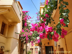 Traditional ambience<br /><br /><b>License number</b><br />Exempt  VOUKAMVILIA traditional & romantic Chania old town Entire serviced apartment vacation rental 35837103