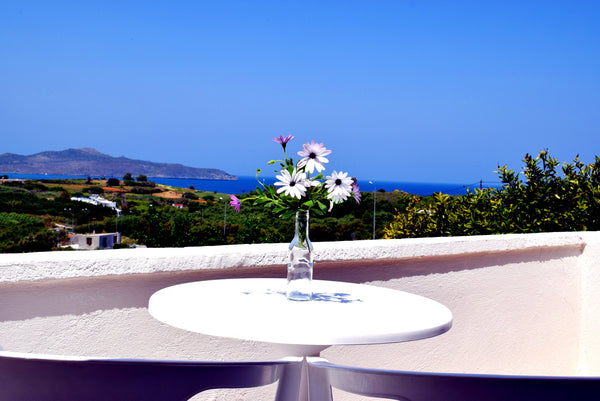 Lovely,clean and bright home in the countryside with an amazing view to the sea.  Peace, comfort and spectacular sea view,4 Entire rental unit vacation rental 18545192