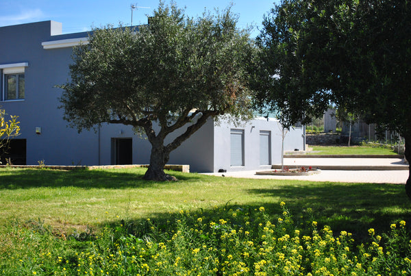 Villa Marmelada is surrounded by beautiful  olive trees in a garden with fruits, Johannesburg, South Africa Villa Marmelada Entire home vacation rental 10194252