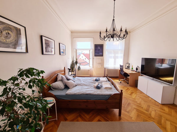Ideal for a couple, an individual or a group of up to 4 people who do not like t Prague, Czechia Spacious room in beautiful flat in Prague centre Private room in rental unit vacation rental 623651680040657837