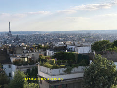 Very spacious apartment of 165 m² in the heart of Montmartre in a beautiful gard Paris, France Montmartre Garden Terrace Calm Charm Romantism Entire loft vacation rental 1254457