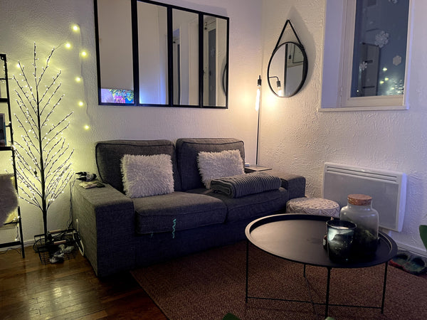 Profitez d'un logement élégant et central décoré avec goût ! <br />L'appartment   Appartement hyper cooconing centre ville de Lyon Entire rental unit vacation rental 53641459