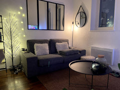 Profitez d'un logement élégant et central décoré avec goût ! <br />L'appartment   Appartement hyper cooconing centre ville de Lyon Entire rental unit vacation rental 53641459