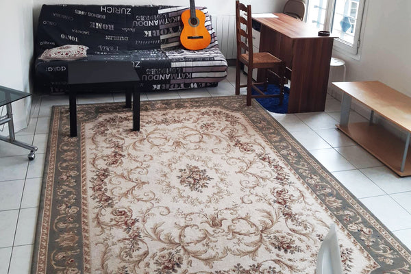 Bienvenue dans un confortable appartement T2 (50 m2) près du musée des frères Lu Lyon, France Lyon:Superbe appartement T2(Musee Lumiere) Entire rental unit vacation rental 53009884