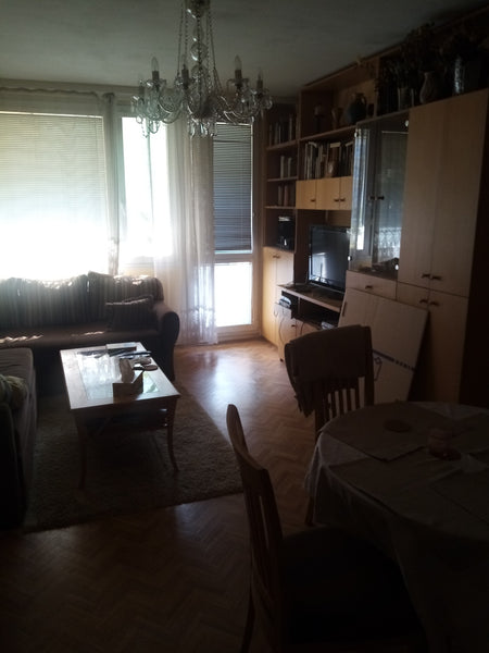 Nabízím obývací pokoj s rozkladatelnou pohovkou, může zde spát 1-2 lidé, k dispo Prague, Czechia Obývák v Praze Shared room in condo vacation rental 48564618