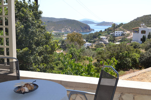 THE HOUSE IS 300M FROM THE MOST FAMOUS BEACH OF THE ISLAND AND CLOSE IN THE SQUA Skala, Greece SEE THE SEA Entire home vacation rental 28822946