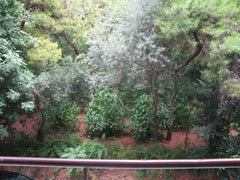 The apartment which faces a park is ideally located on a very quiet street and i Athens, Greece LUXURIOUS APARTMENT NEAR US EMBASSY Entire condo vacation rental 2096863
