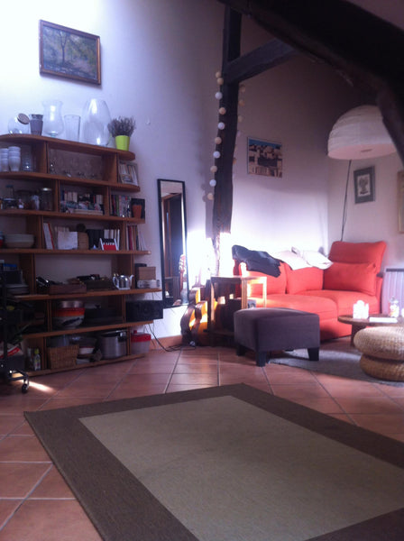 Charming atypical flat under roofs, welcoming, quiet with exposed beams right in Paris, France Charming sunny apartment in the Marais Entire condo vacation rental 4818536