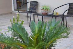 A wonderful Ground floor apartment in a quite building, only 2 kilometers from t Athens, Greece House by the Aqueduct Entire rental unit vacation rental 26700943