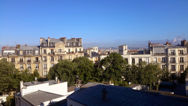Chassé, combattu, tout a été mis en œuvre pour chasser toute trace de COVID. Vou Paris, France Amazing Romantic Montmartre Entire rental unit vacation rental 6141147